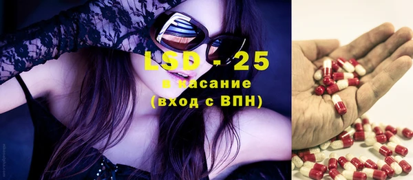 ПСИЛОЦИБИНОВЫЕ ГРИБЫ Вяземский