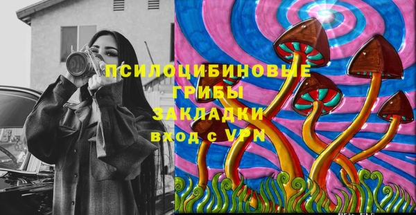 спиды Майский
